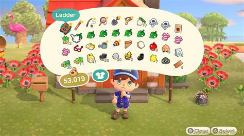 animal crossing new horizons pockets.